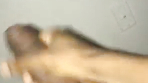 Black cock for enjoy