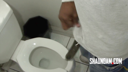 Ms Fellatio Master-Black Man in the Ladies Room