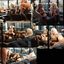 Wonderful collection focusing on a vintage pornstar