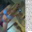 Beautiful women fucking big dicked men on the side