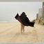 Bib boobed babe showing her body on the beach