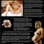 Pregnant girls are always ready for BBC breeding