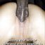 Hot interracial cuckolding compilation with white wives