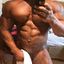 Best black cocks for you to stare at and drool