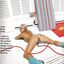 Animated images with the horniest moms and hung bullies