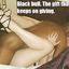 Hot interracial cuckolding compilation with white wives