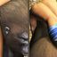 White whore fucks a literal ape in this taboo cartoon story