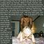 Wife niki loves niger cock in her Irish pussy