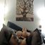 Masturbating wives gifs