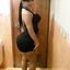 Ebony/latinas bimbo hotwifes and girls with a big ass