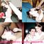 Best interracial breeding and cuckolding captions