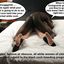 Best interracial breeding and cuckolding captions