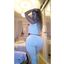 Hot lady with sexy curves teasing in an amateur gallery