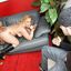 Compilation of mommy cuckolding with the best bitches