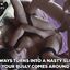 Bully banging your mom in the best cuckolding GIFs