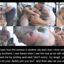 Drawn porn exploring old and young sex fetish