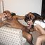 Sexy mothers worship black dicks orally in HQ