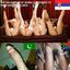 Slav sluts are ready to embrace their slutty side