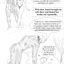 Drawn interracial cuckolding porn with hot women