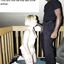 Collection of captioned images with cuckolding moms