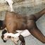 White size queens fuck black cocks in IR XXX porn