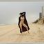 Bib boobed babe showing her body on the beach