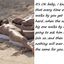 Gay sex encouragement captions with hot babes