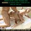 Bully banging your mom in the best cuckolding GIFs