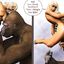 White whore fucks a literal ape in this taboo cartoon story