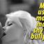 Mom bully cuckold captions and hardcore porn GIFs