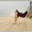 Bib boobed babe showing her body on the beach