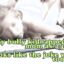 Mom bully cuckold captions and hardcore porn GIFs