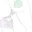 Drawn interracial cuckolding porn with hot women