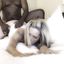 Hot interracial cuckolding compilation with white wives