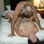 Real mature couple in an amateur porn gallery