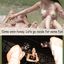 Sissy porn compilation with the best cuckolding wives