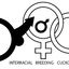 Black superiority motivation for cucks and wives