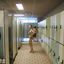 Thirsty housewives show naked mature bodies in HQ