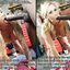 Stepson cuckold gallery with captions and hot moms