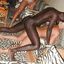 Interracial sex gallery porn with BBC loving white babes