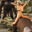 White whore fucks a literal ape in this taboo cartoon story