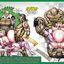 Cuckolding Christmas comic book with IR fucking