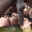 Captioned BBC interracial GIFs and sexy pictures