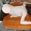 Beautiful women fucking big dicked men on the side