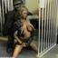 Gorilla uses its giant cock to fuck a MILF in 3D porn