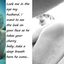 Gay sex encouragement captions with hot babes