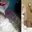 Arab cocks prepared for hot white wives with hot cunts