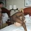 Interracial porn featuring hot babes that love BBC