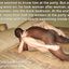 Best interracial breeding and cuckolding captions
