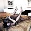 Interracial porn featuring hot babes that love BBC